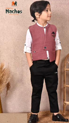 Elegant Sophisticate Waist Coat With Full Shirt & Pant Set